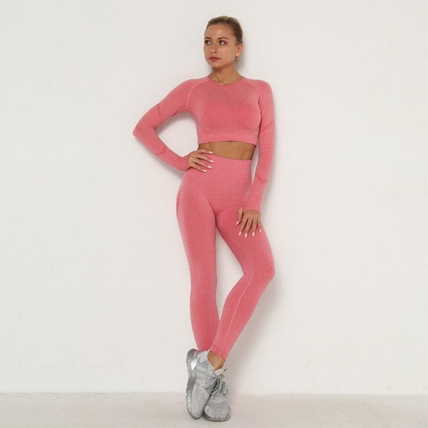 Seamless Women Sport Set For Gym Long Sleeve Top High Waist Belly Control Leggings Clothes Seamless Sport Suit Sexy Booty Girls