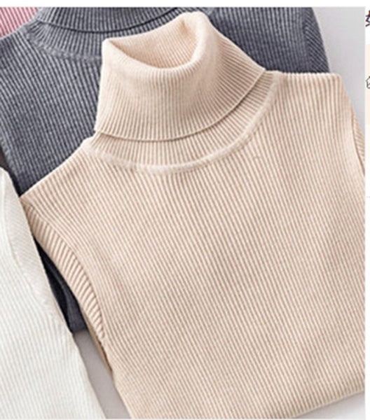 Autumn Winter Knitted Sweater Pullovers Turtleneck Sweater for Women Long Sleeve White Black Soft Female Jumper Clothing