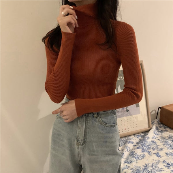 Autumn Winter Knitted Sweater Pullovers Turtleneck Sweater for Women Long Sleeve White Black Soft Female Jumper Clothing