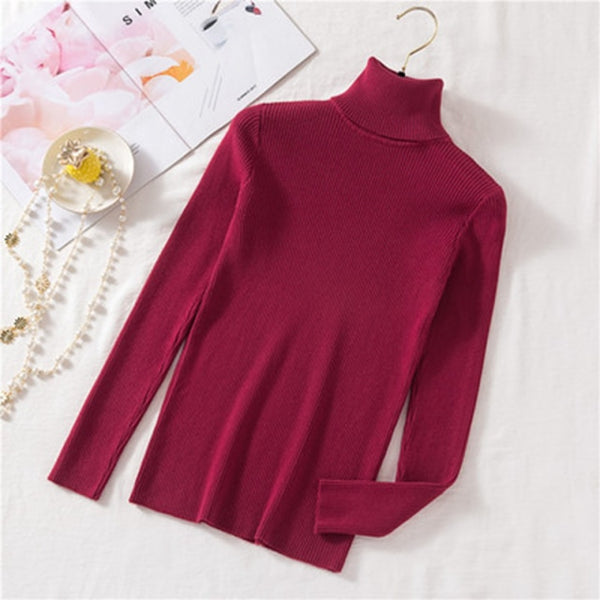 Autumn Winter Knitted Sweater Pullovers Turtleneck Sweater for Women Long Sleeve White Black Soft Female Jumper Clothing